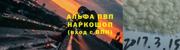 скорость Новозыбков