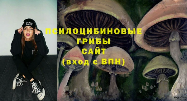 mix Алексин