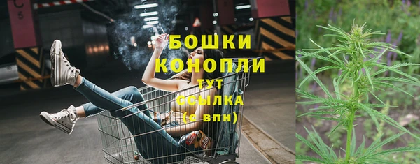 трава Абаза