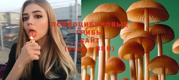 Альфа ПВП Абинск