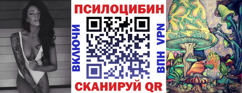 Псилоцибиновые грибы GOLDEN TEACHER  Касимов 