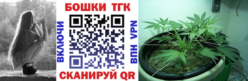 маркетплейс наркотические препараты  kraken сайт  Касимов  Каннабис индика 